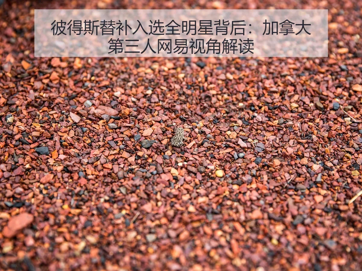 彼得斯替补入选全明星背后:加拿大第三人视角解读