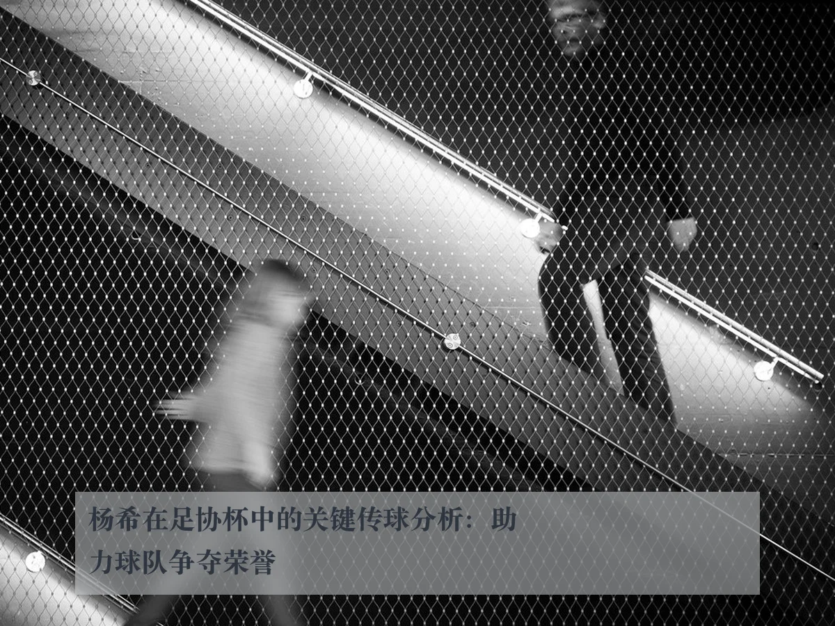 杨希在足协杯中的关键传球分析:助力球队争夺荣誉